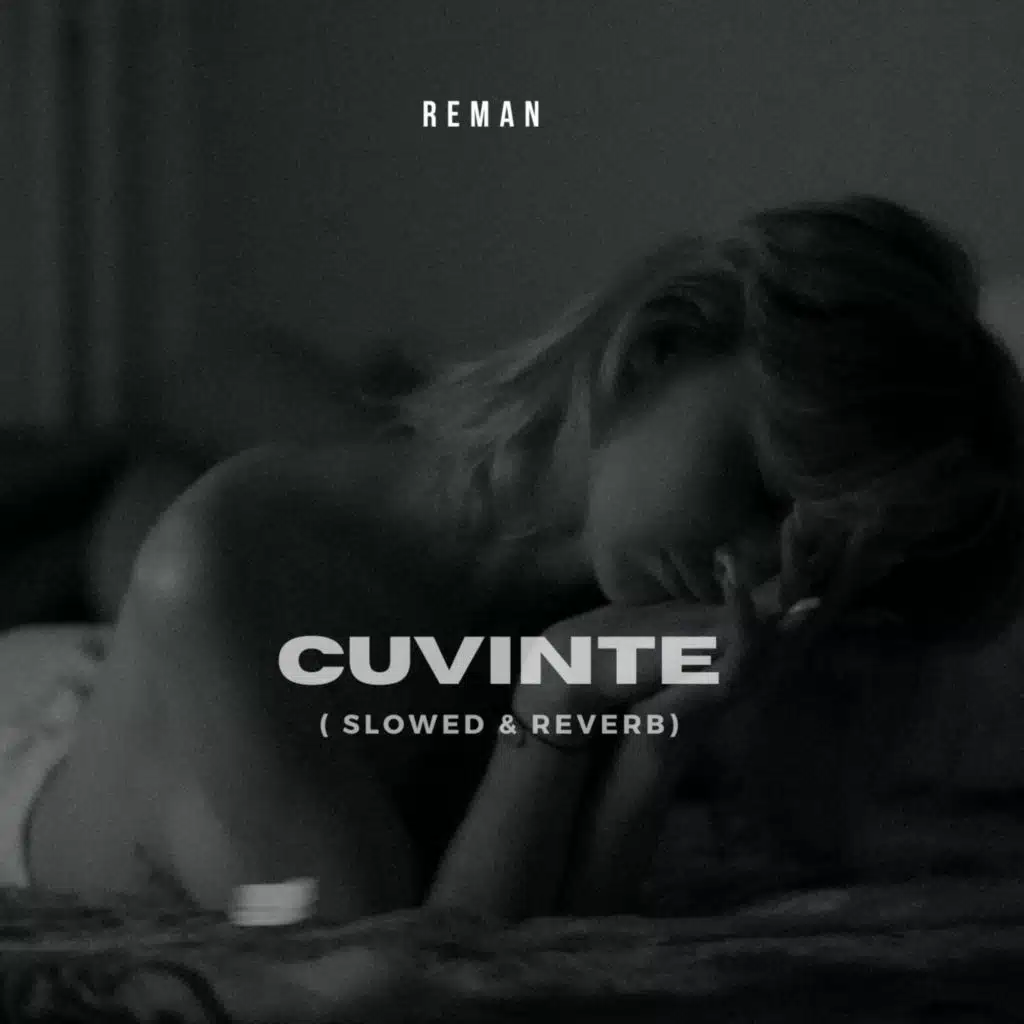 Cuvinte  (Slowed & Reverb)