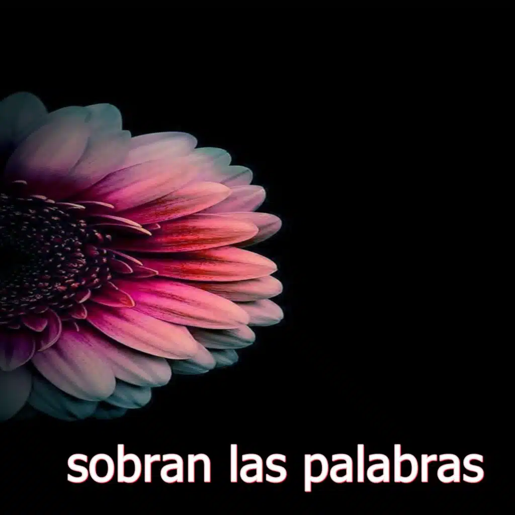 sobran las palabras