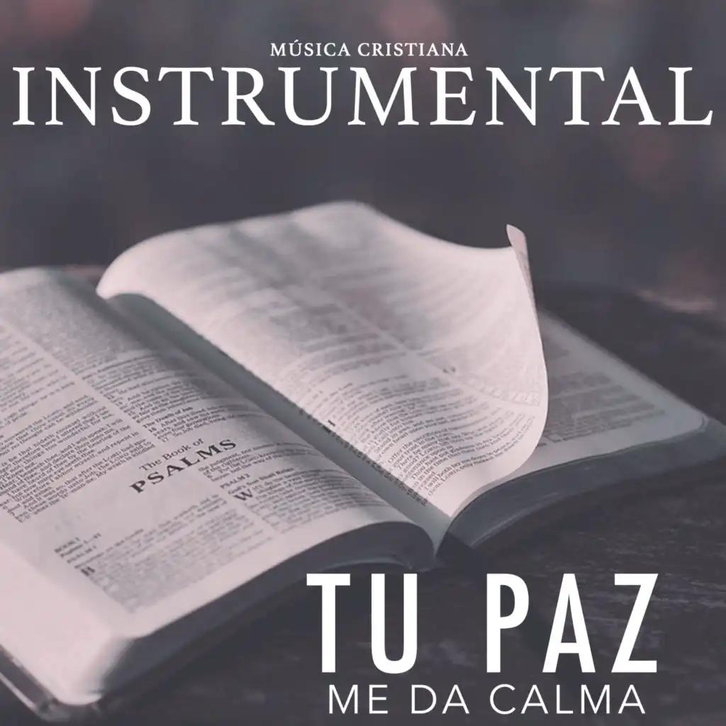Tu Paz Me Da Calma