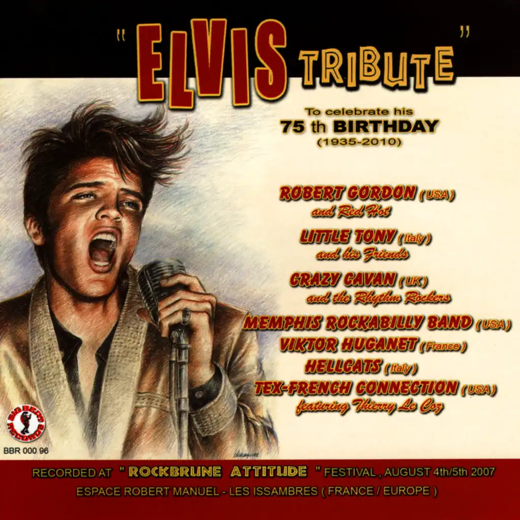 Elvis Tribute - to Celebrate His 75th Birthday (1935-2010) (Live in France)