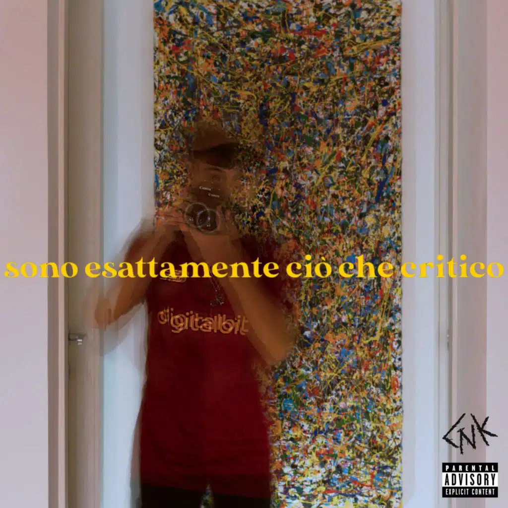 SONO ESATTAMENTE CIÒ CHE CRITICO