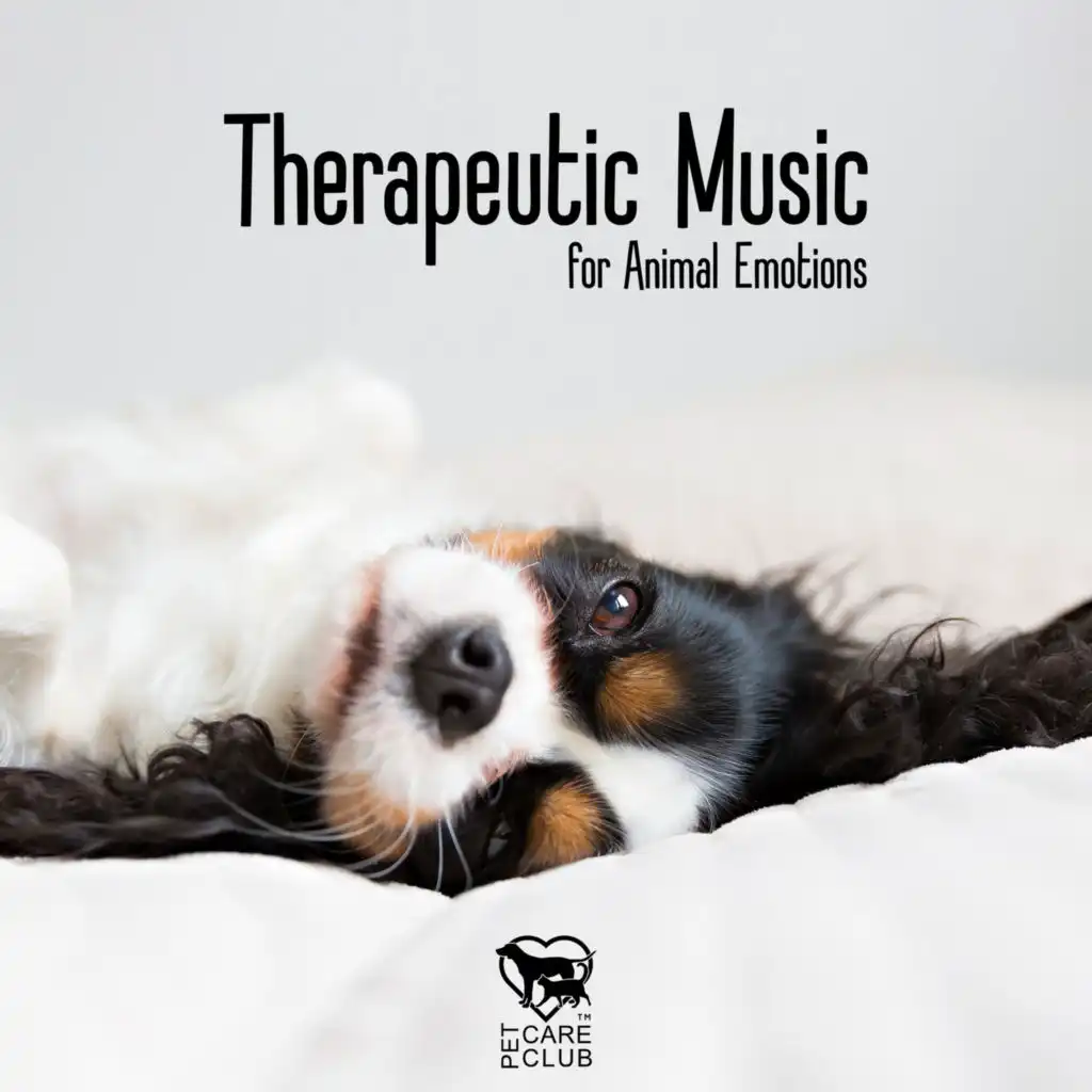 Music For Dogs