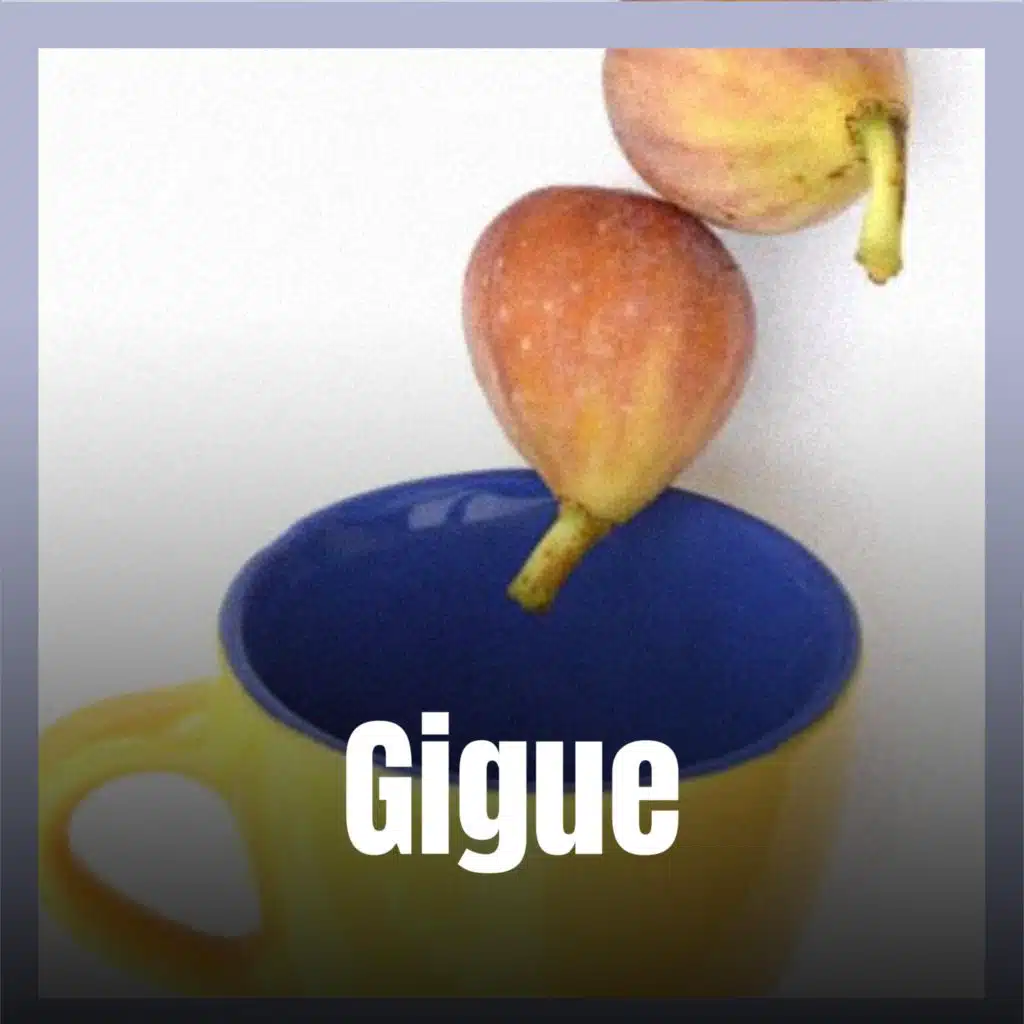 Gigue