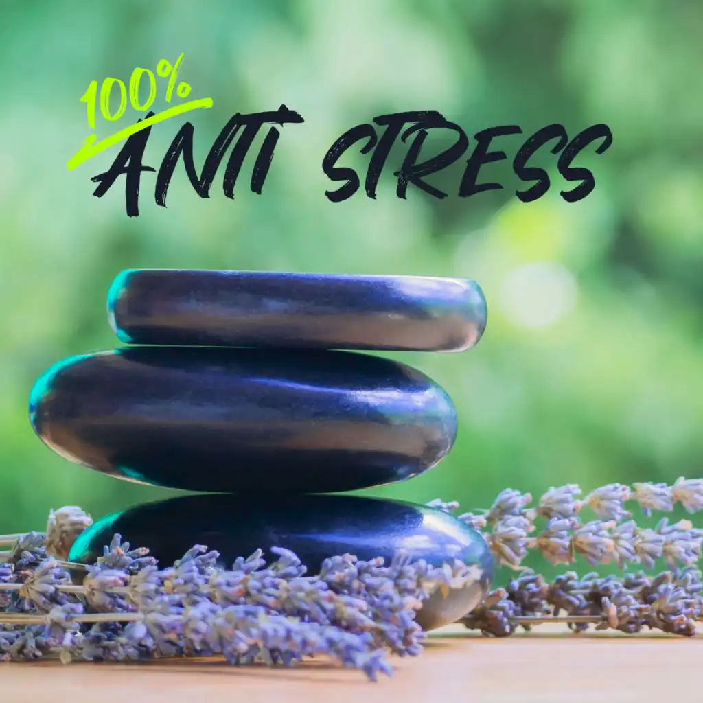 100% Anti stress: Zen douce relaxation et détente, Musique de fond pour harmonie et massage, Sérénité et bien-être