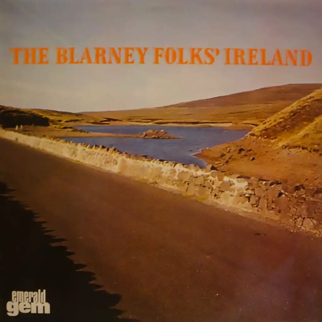 The Blarney Folk