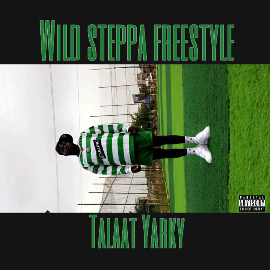 Wild Steppa (feat. Chimmy Records)