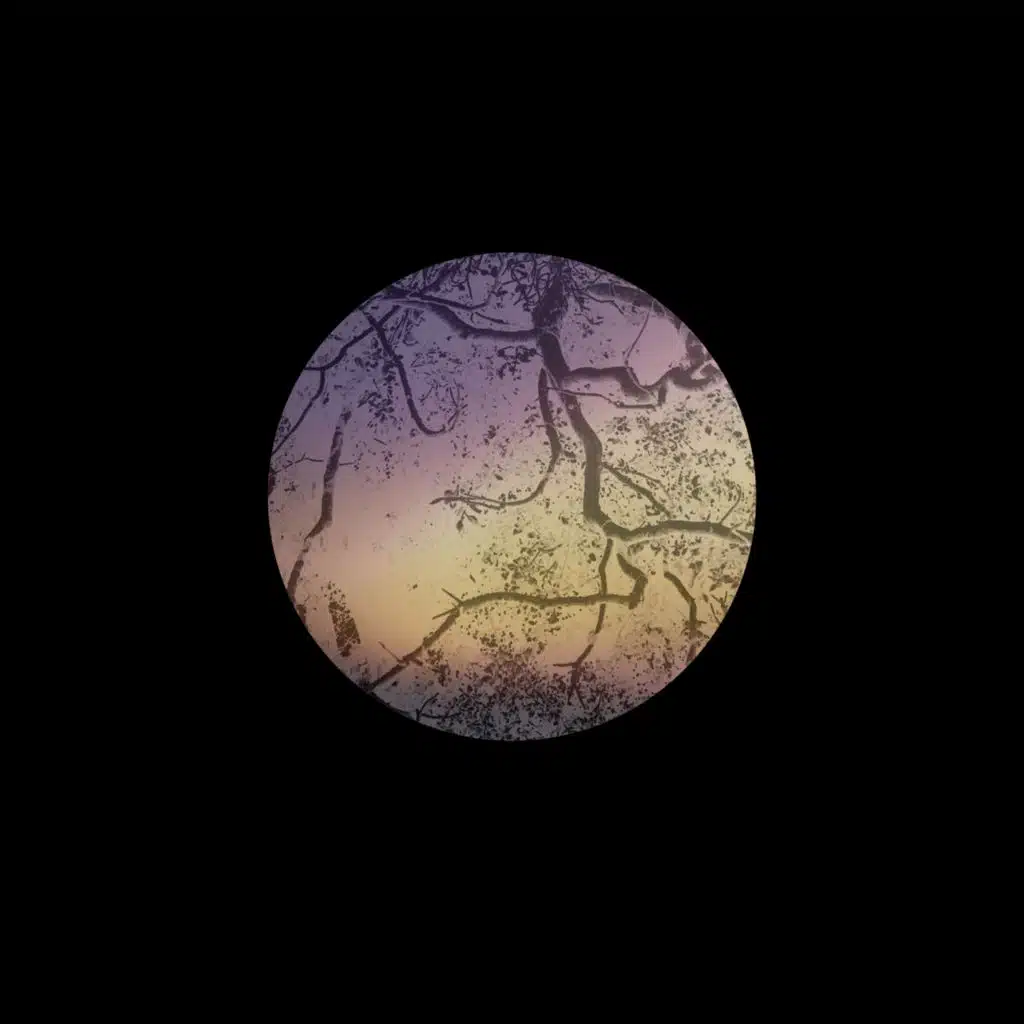 Light That Slips Away (feat. Emma Frank, Aaron Parks, Greg Leisz, Larry Klein, Vinnie Colaiuta, Gilad Hekselman & Miguel Atwood-Ferguson)