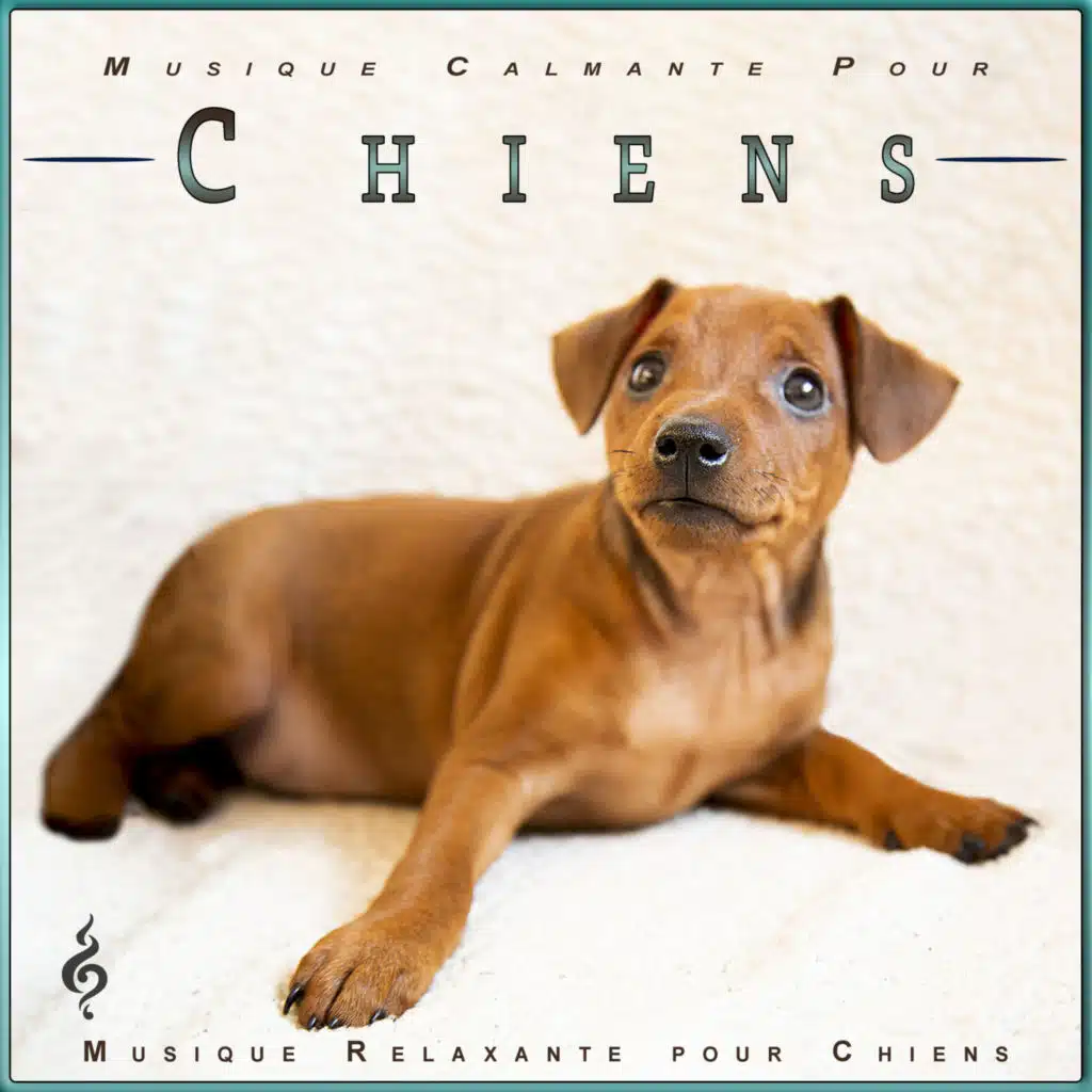 Musique pour chien heureux