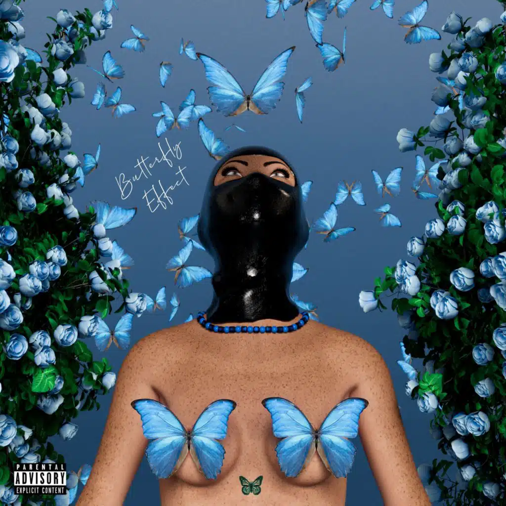 Butterfly Effect