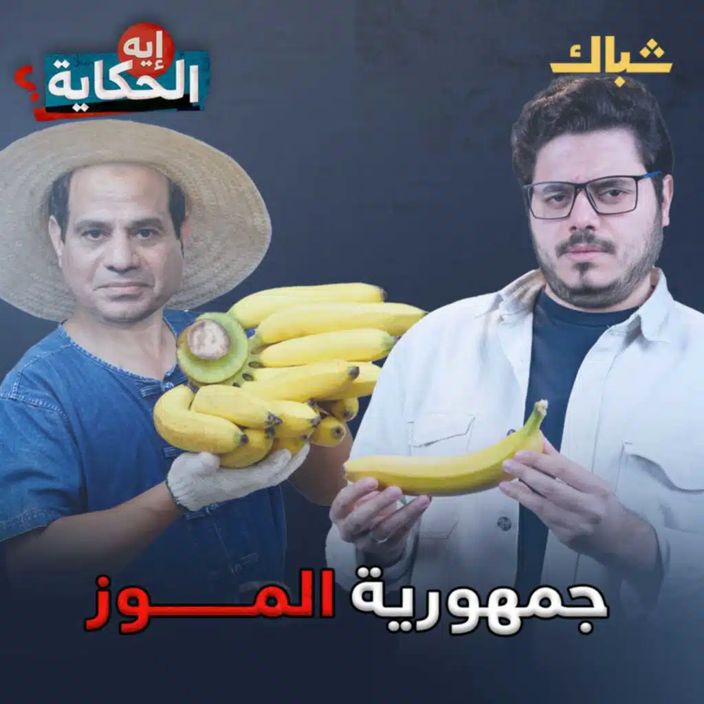 مين اللي بيحكم مصر؟