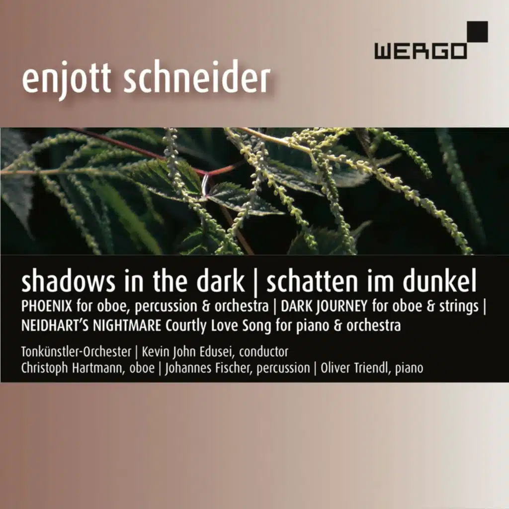 Schneider: Shadows in the Dark