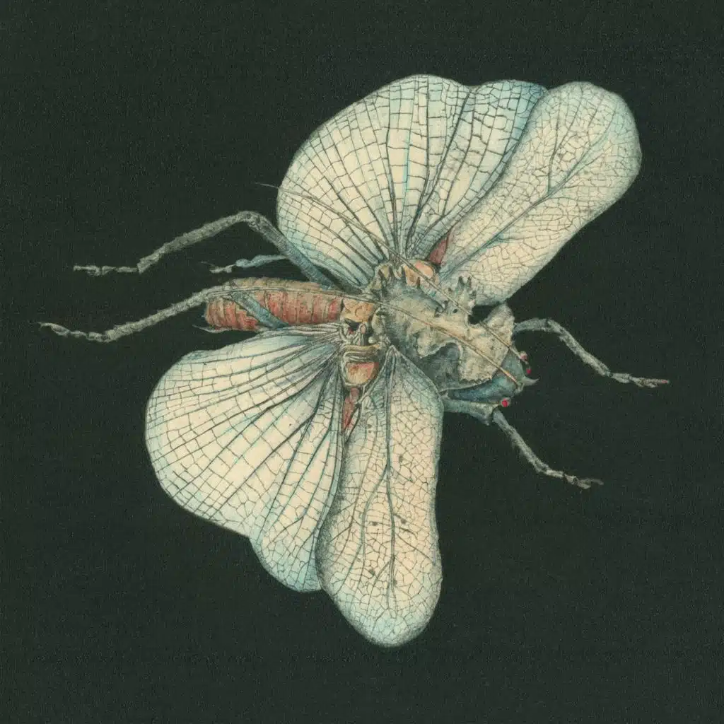 Go Dig My Grave (feat. Giovanna Pessi, Ida Løvli Hidle & Tuva Syvertsen)