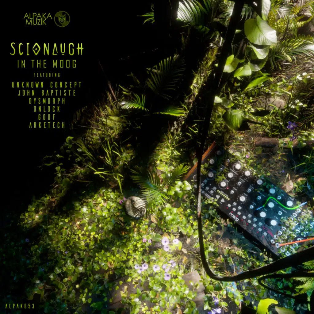 Scionaugh & Dysmorph