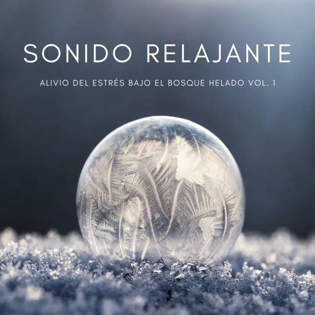 Sonido Relajante: Alivio Del Estrés Bajo El Bosque Helado Vol. 1