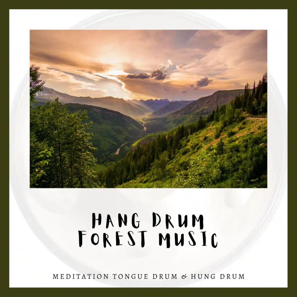 Hang Drum - Forest Music