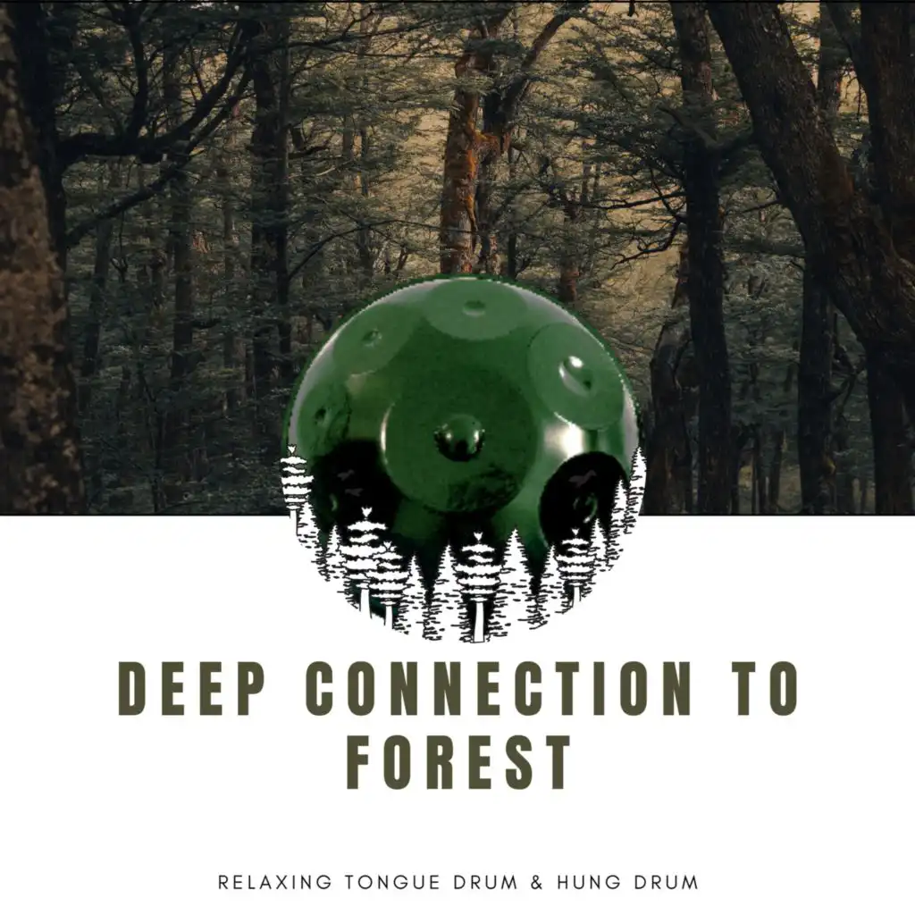 Deep Connection to Forest