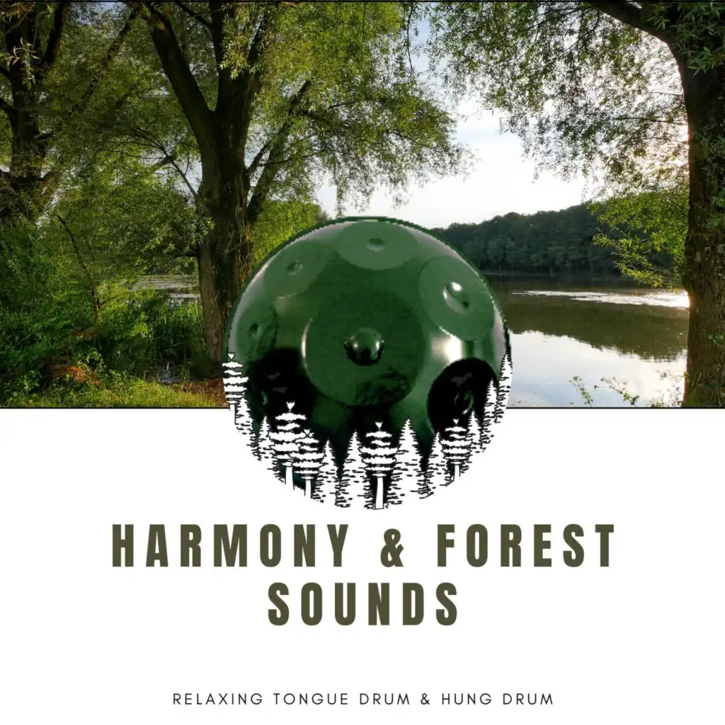 Quiet Waters (Forest Sounds)