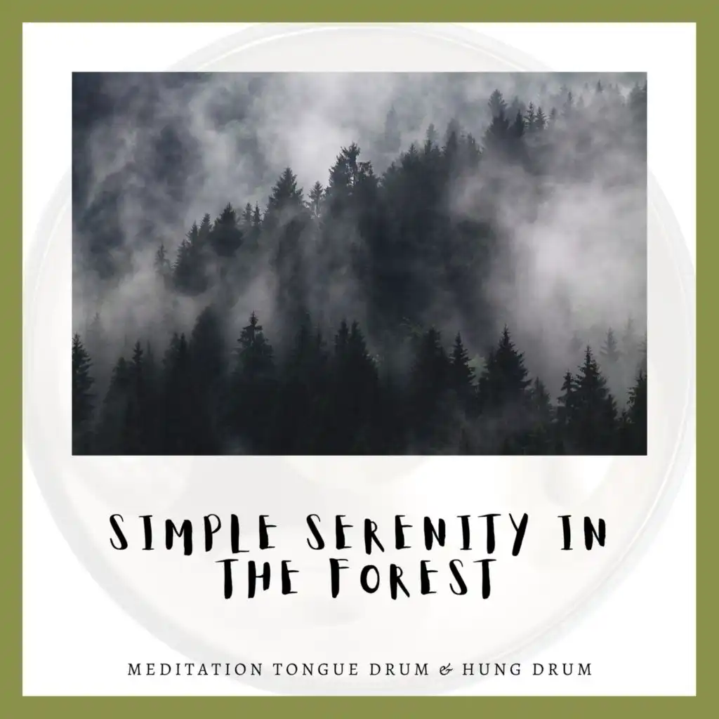 Meditation Tongue Drum & Hung Drum