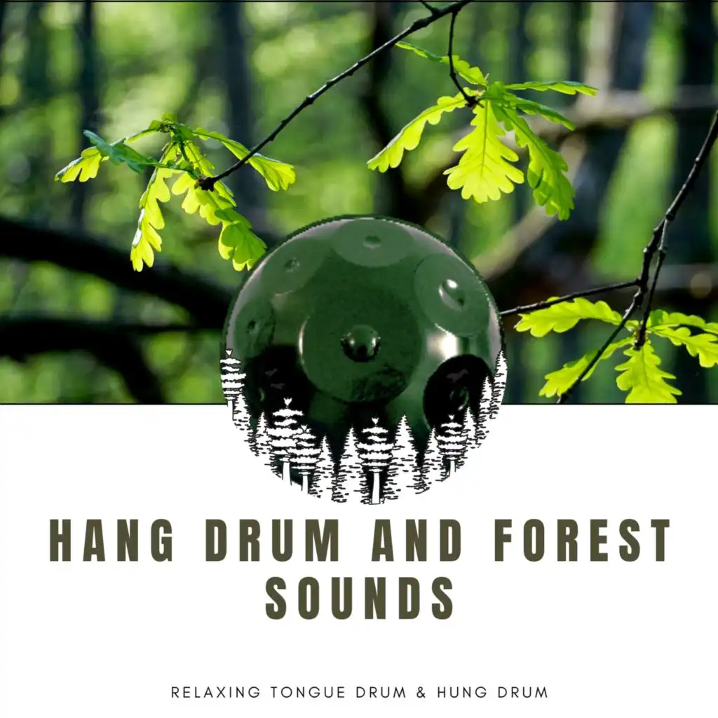 Hang Drum and Forest Sounds