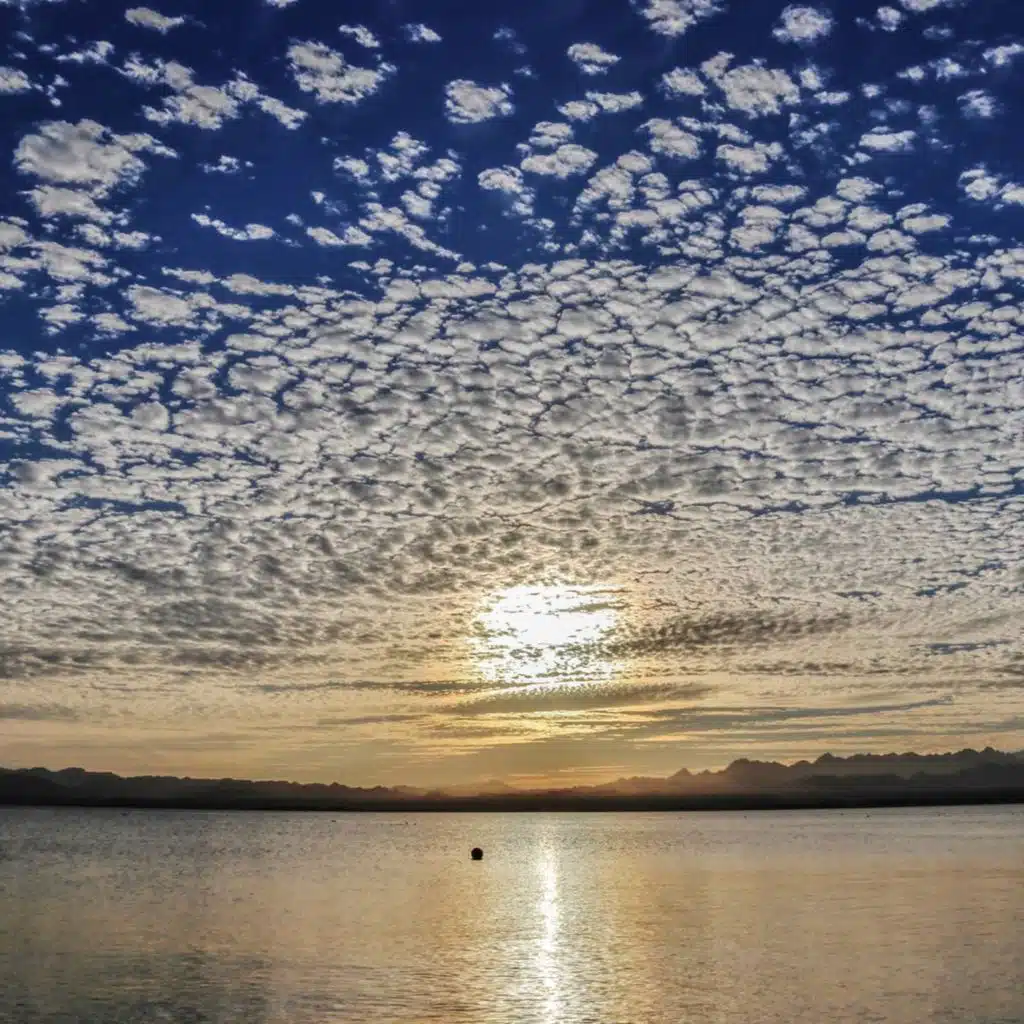 DJ Tarkan - Deeper House