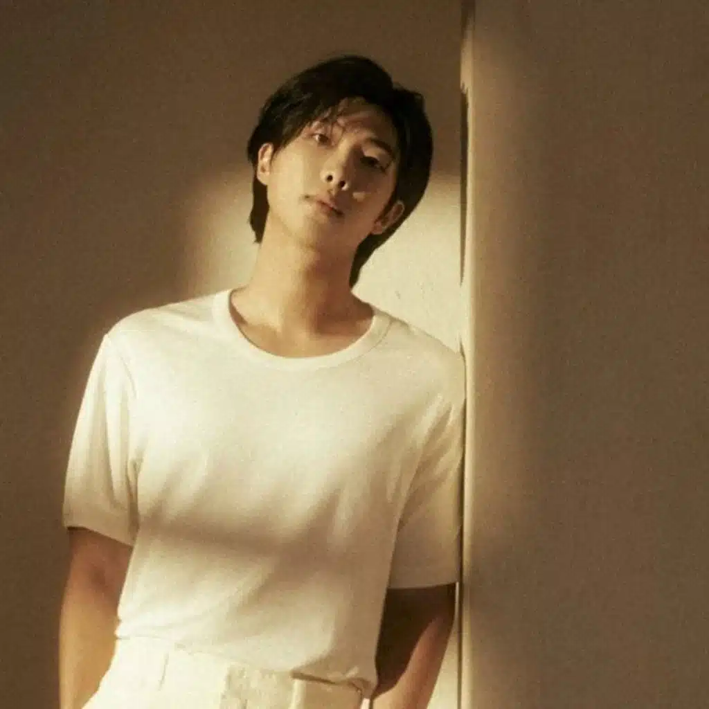 RM's 1st Solo Album INDIGO