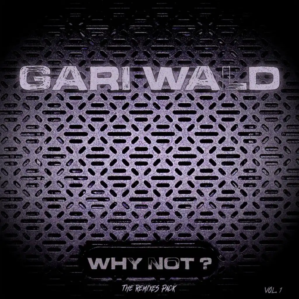 Why Not (Gari Wald Remix)