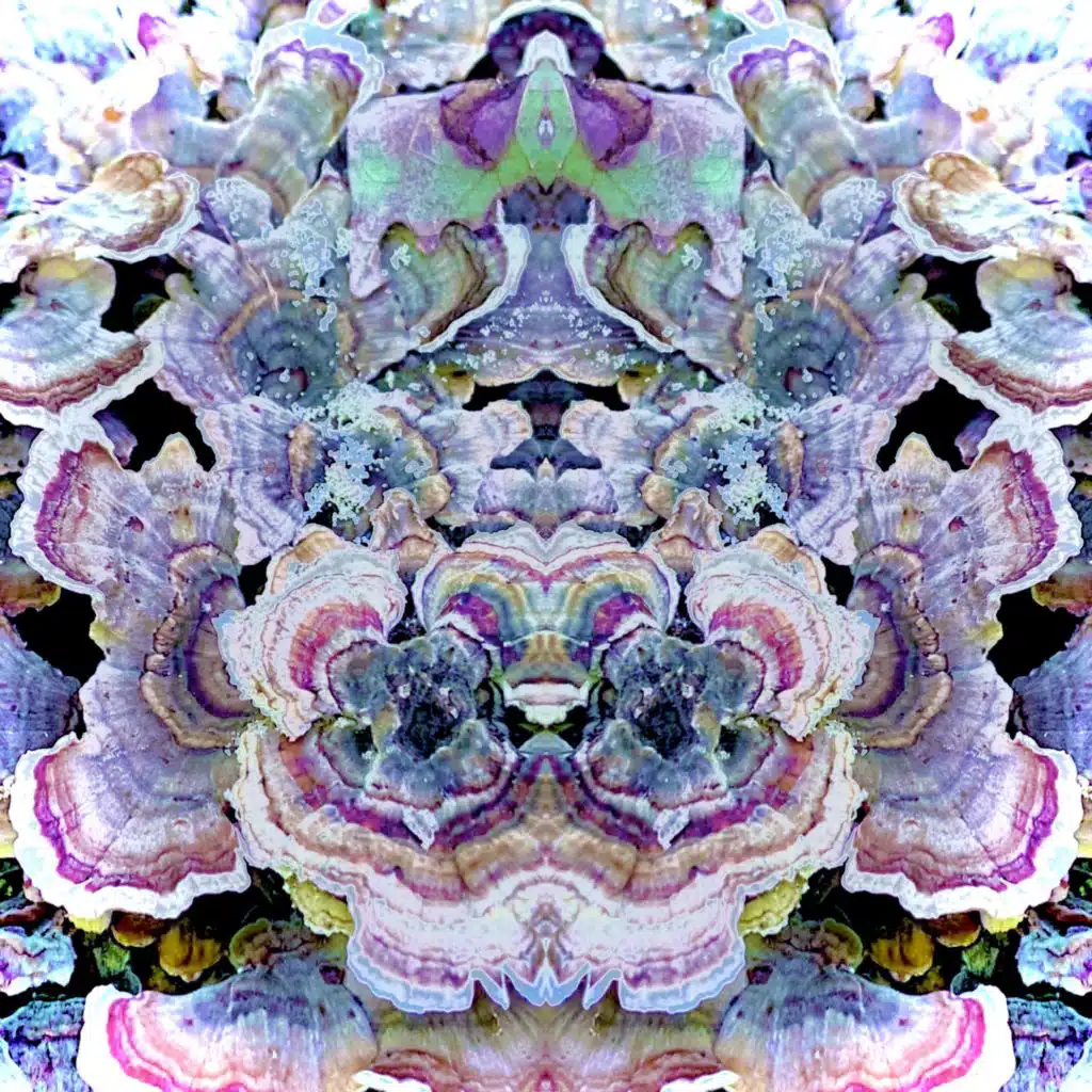 Platonia