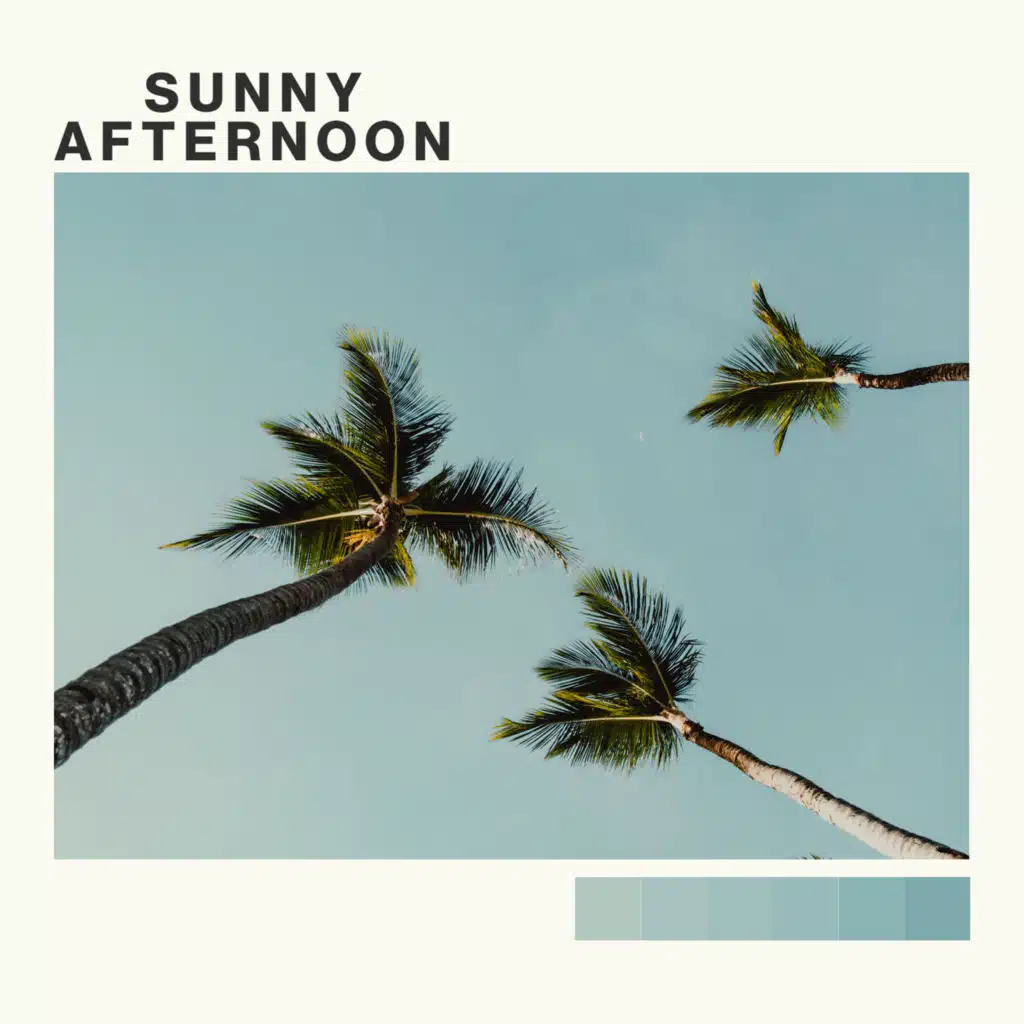 Sunny Afternoon