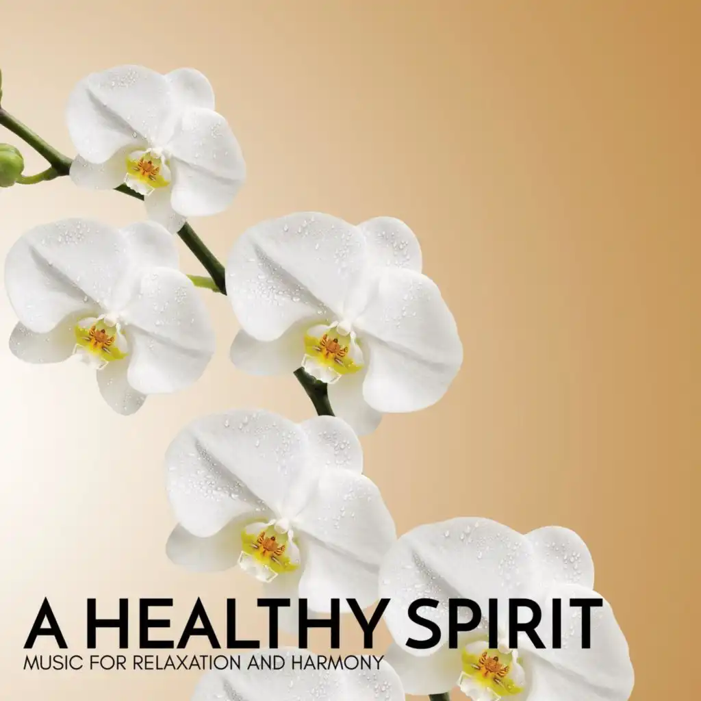 A Healthy Spirit - Music for Relaxation and Harmony
