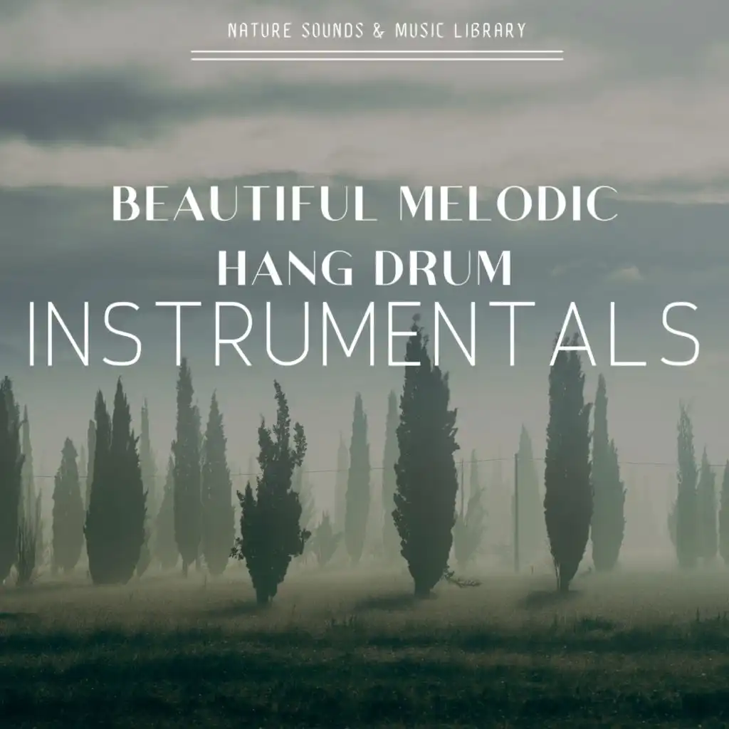 Beautiful Melodic Hang Drum Instrumentals