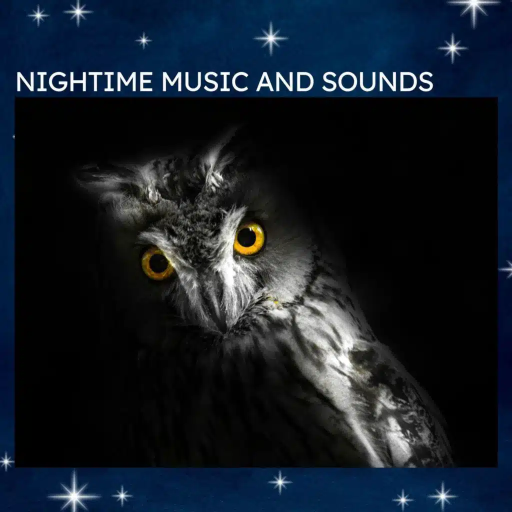 Preparing for Autumn (Night Sound)