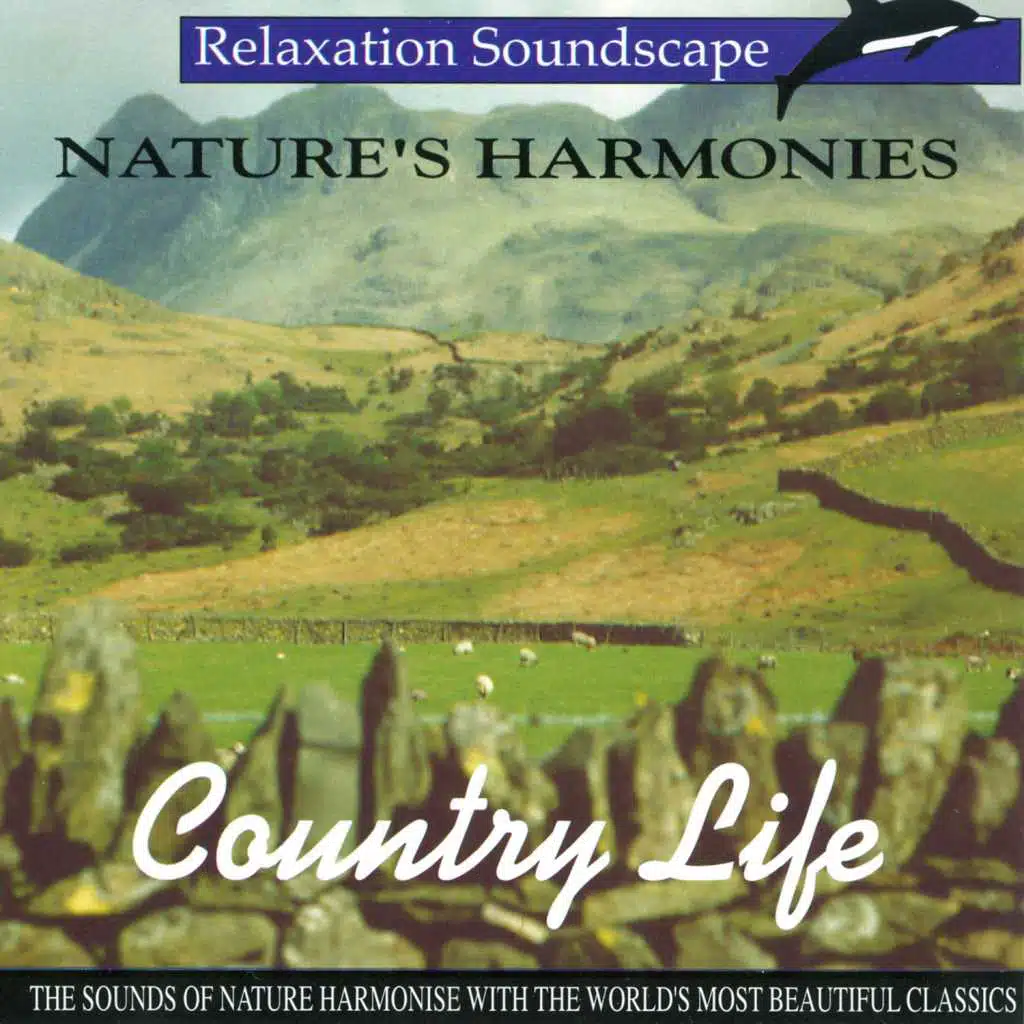 Concerto For Horn & Orchestra, #1 KV412 Rondo Allegro