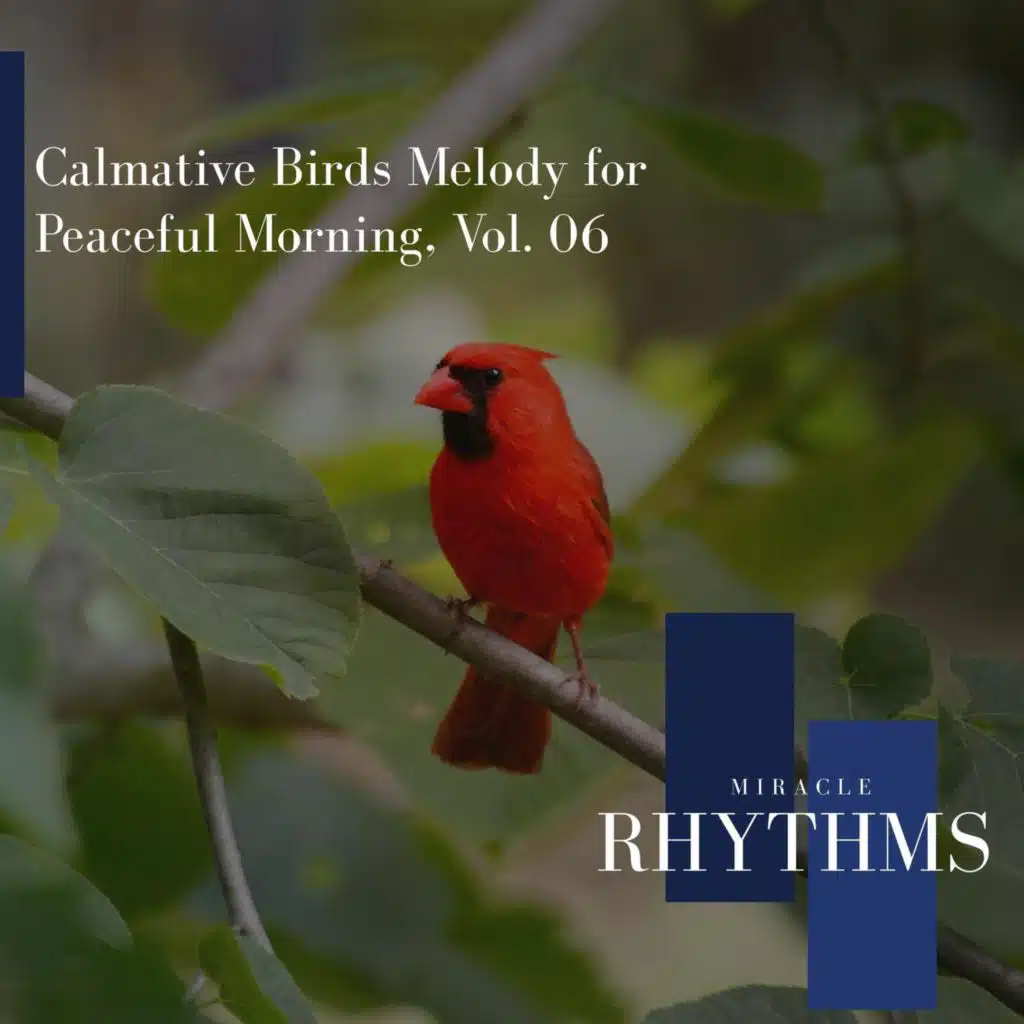 Calmative Birds Melody For Peaceful Morning, Vol. 06