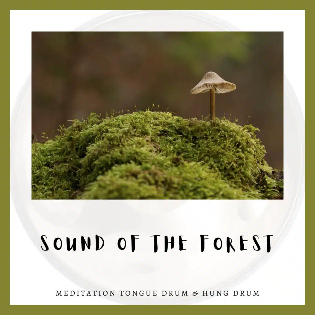Sound of the Forest