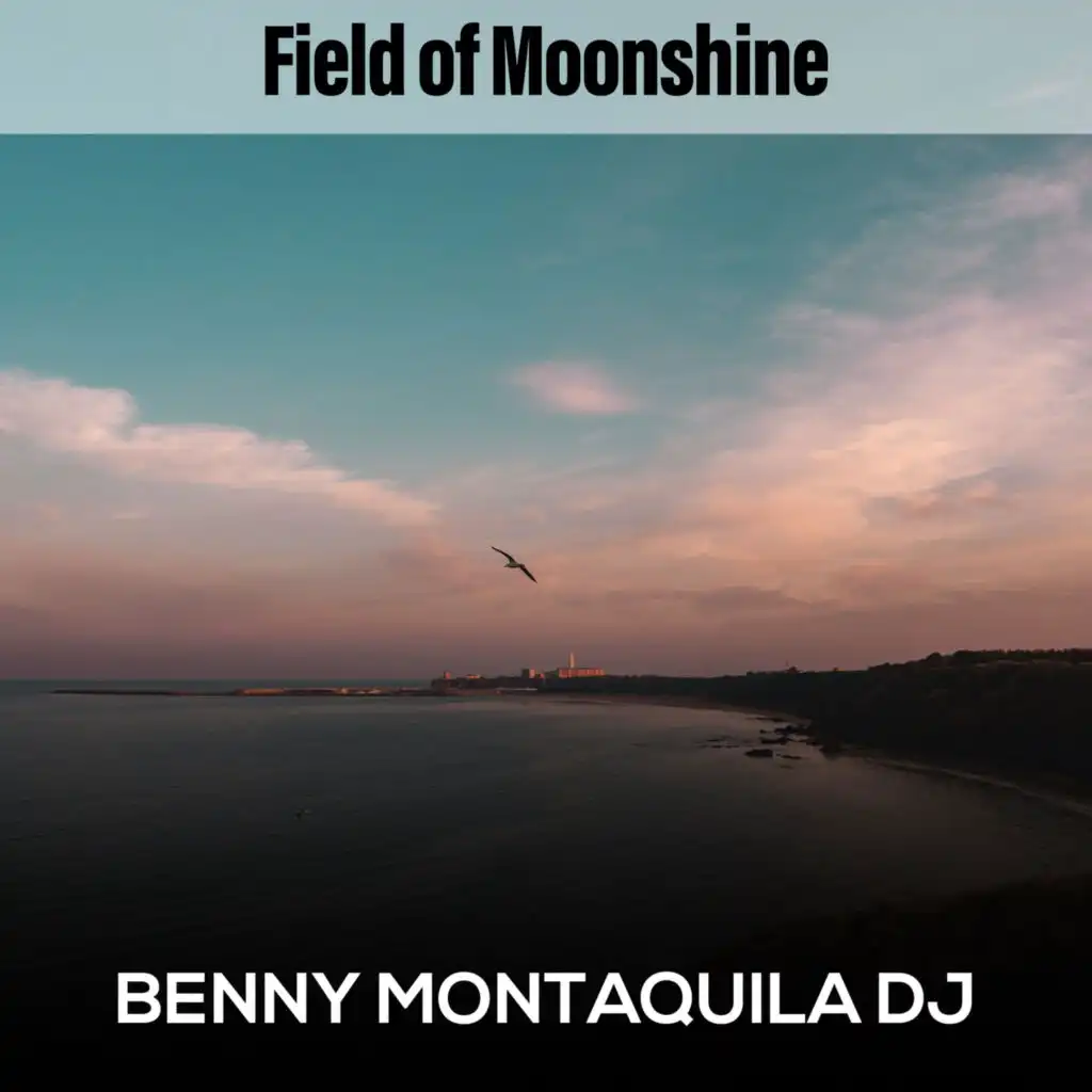 Field of Moonshine