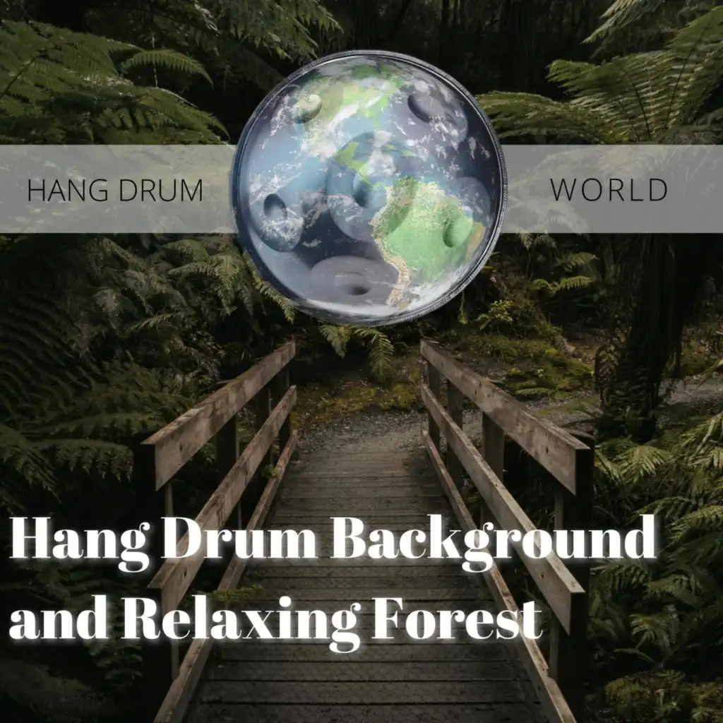 Hang Drum Background and Relaxing Forest