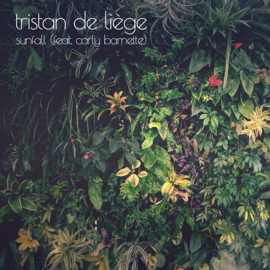 Sunfall (feat. Carly Barnette)