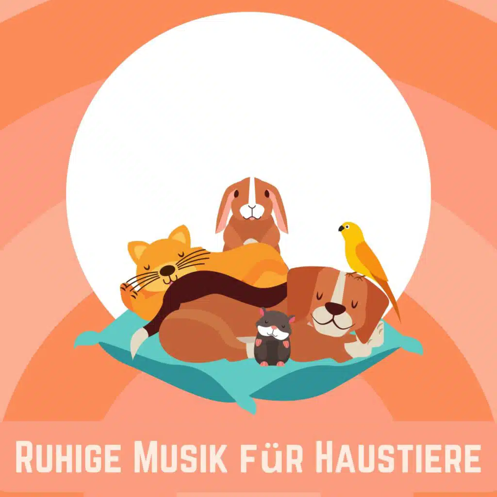 Ruhige Musik für Haustiere