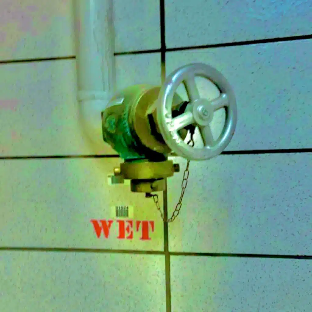 WET