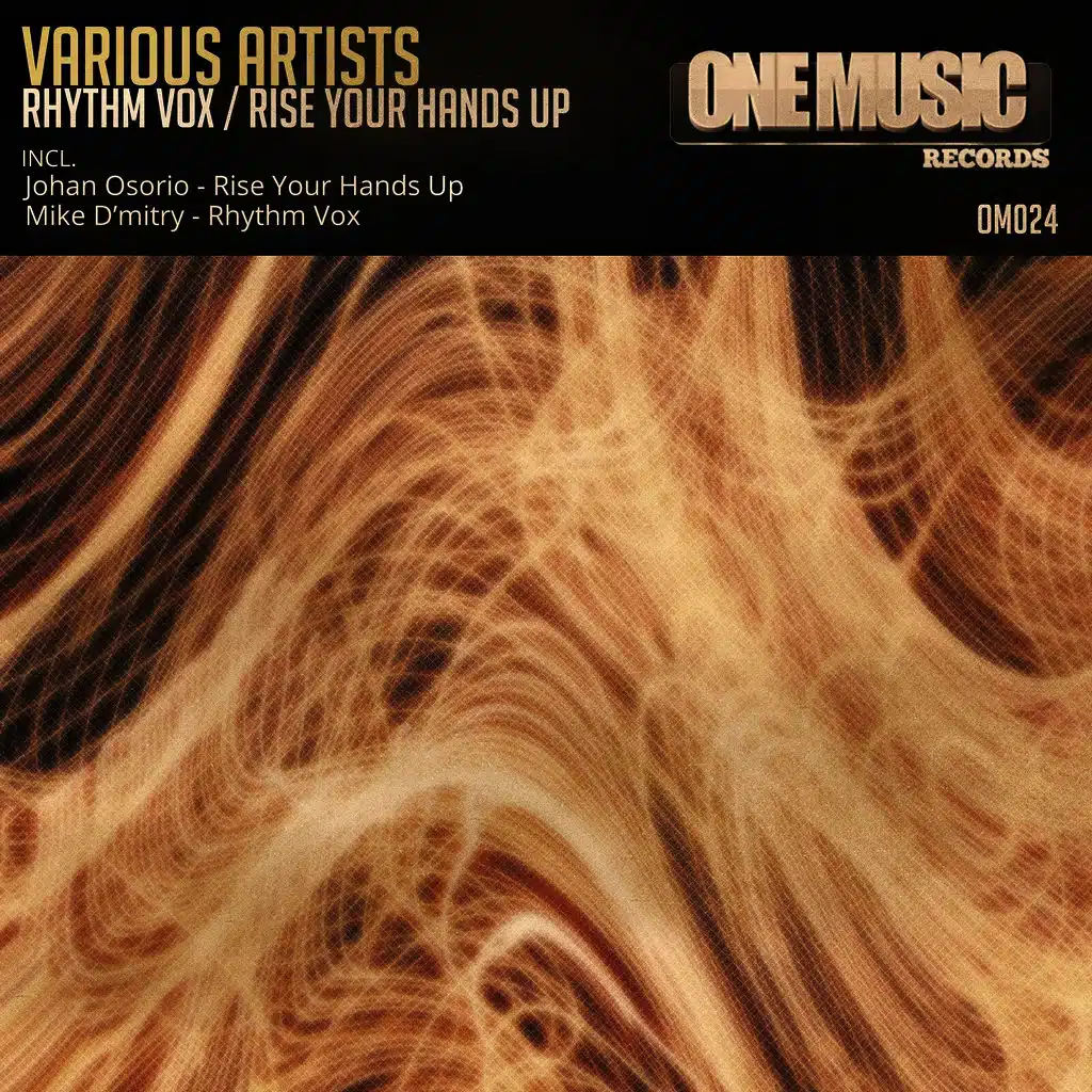 Rhythm Vox / Rise Your Hands Up