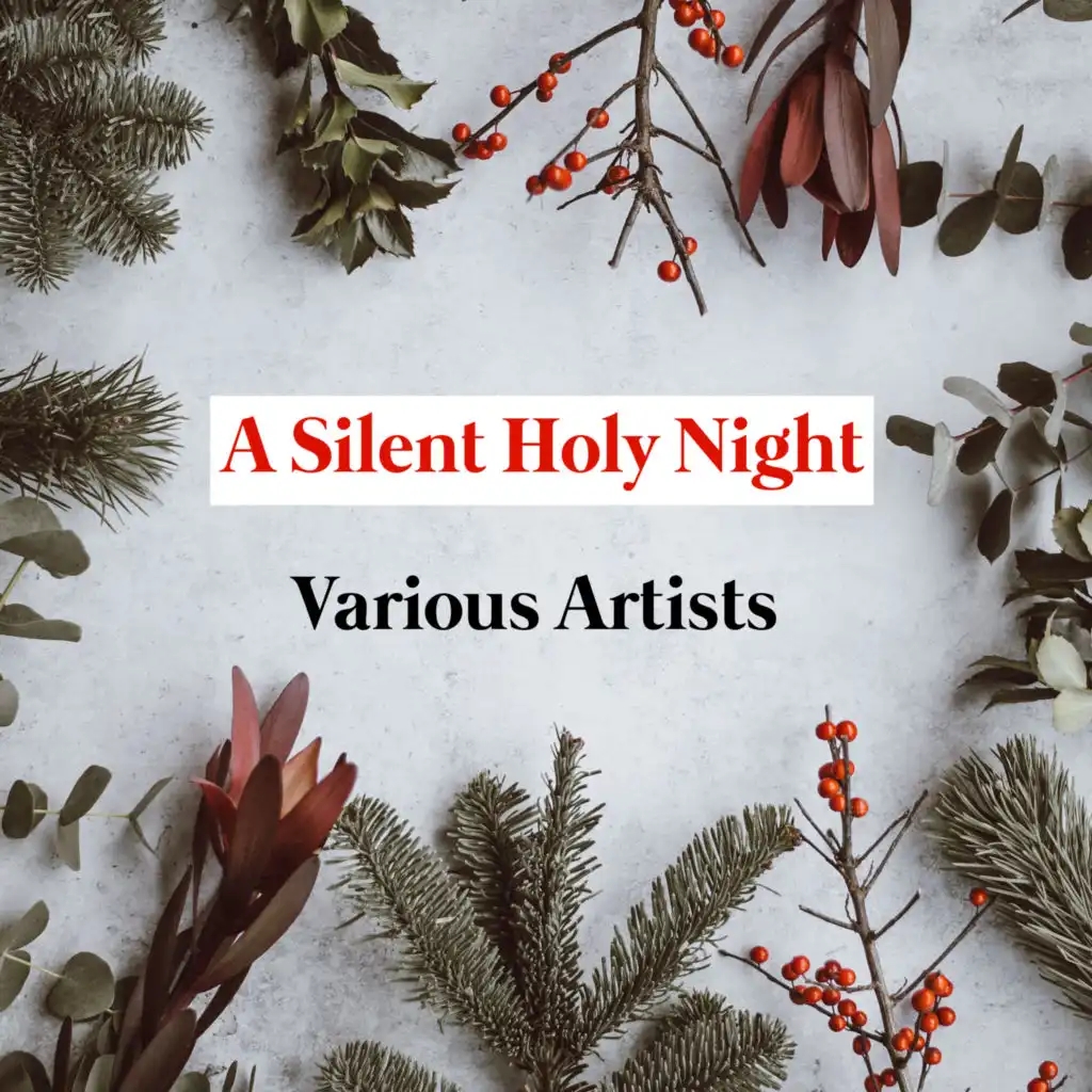 A Silent Holy Night