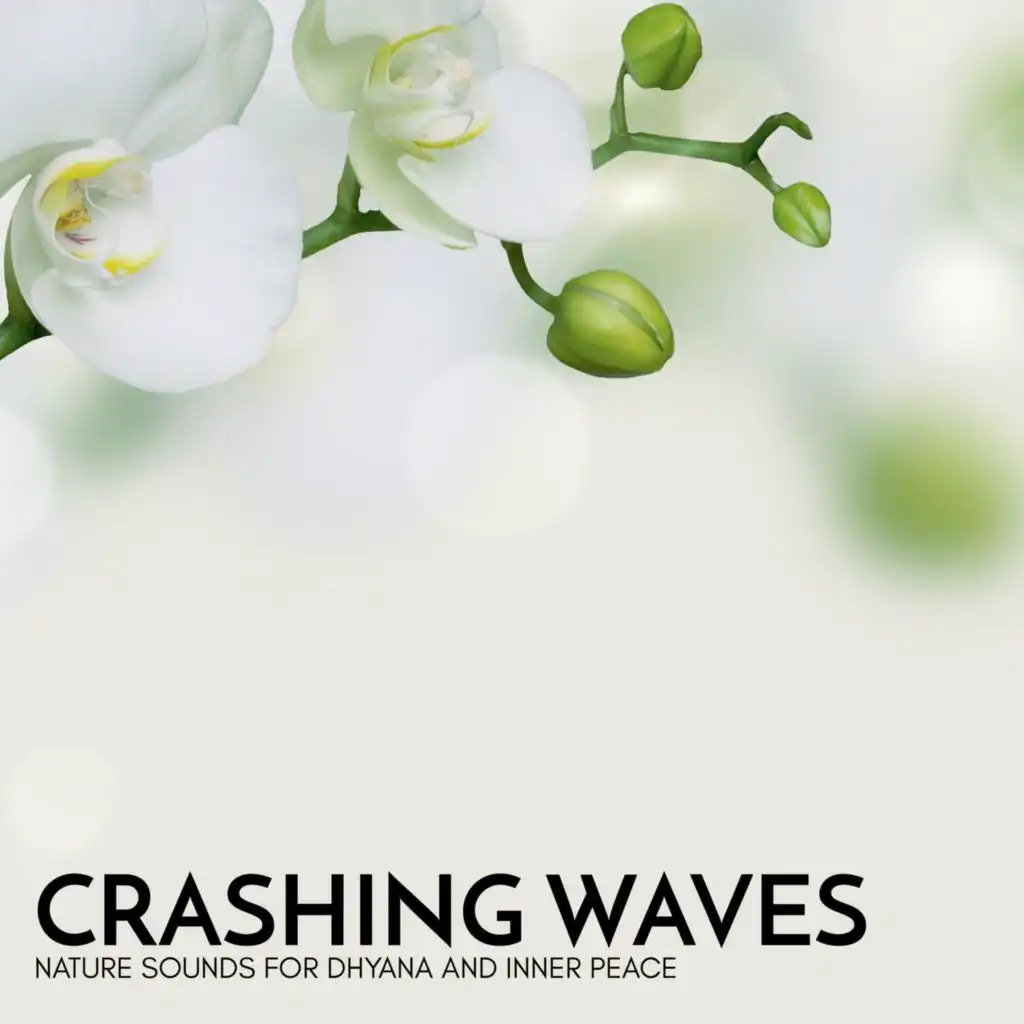 Crashing Waves - Nature Sounds for Dhyana and Inner Peace