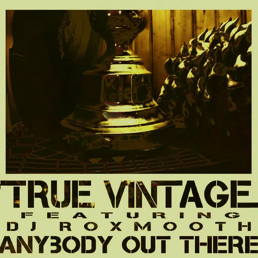 Anybody Out There (feat. DJ Roxmooth)