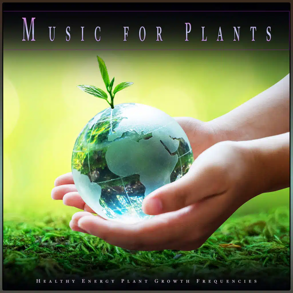 Music for Plants: Healthy Energy Plant Growth Frequencies