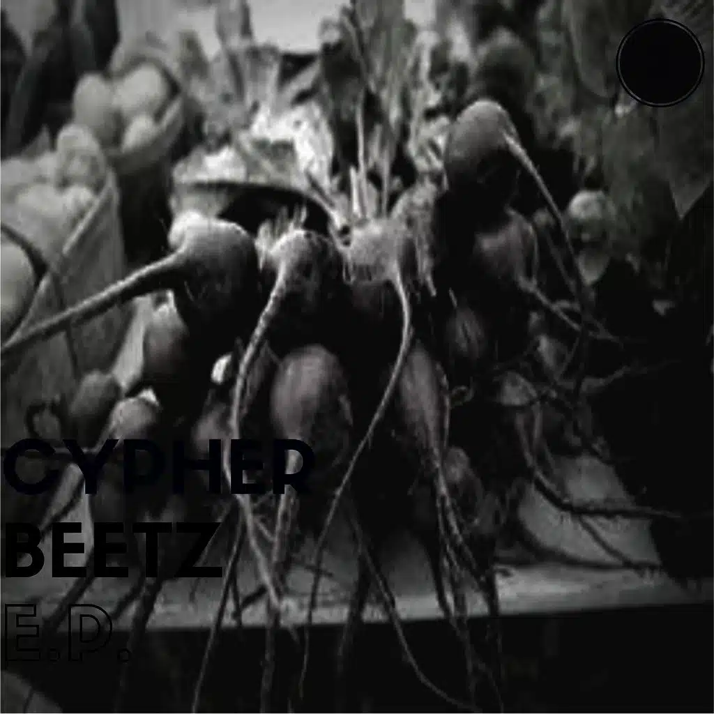 Cypher Beetz