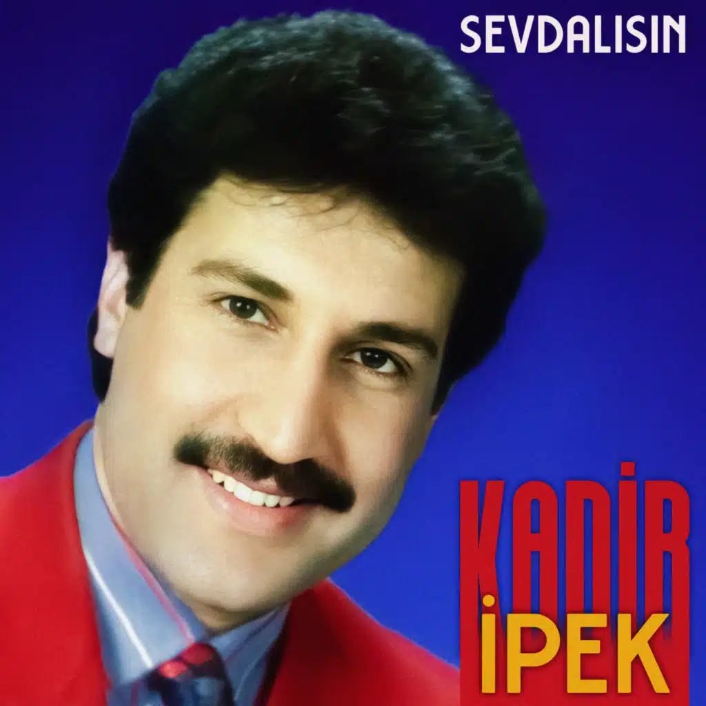 Sevdalısın