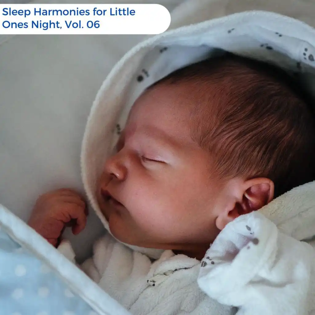 Sleep Harmonies For Little Ones Night, Vol. 06