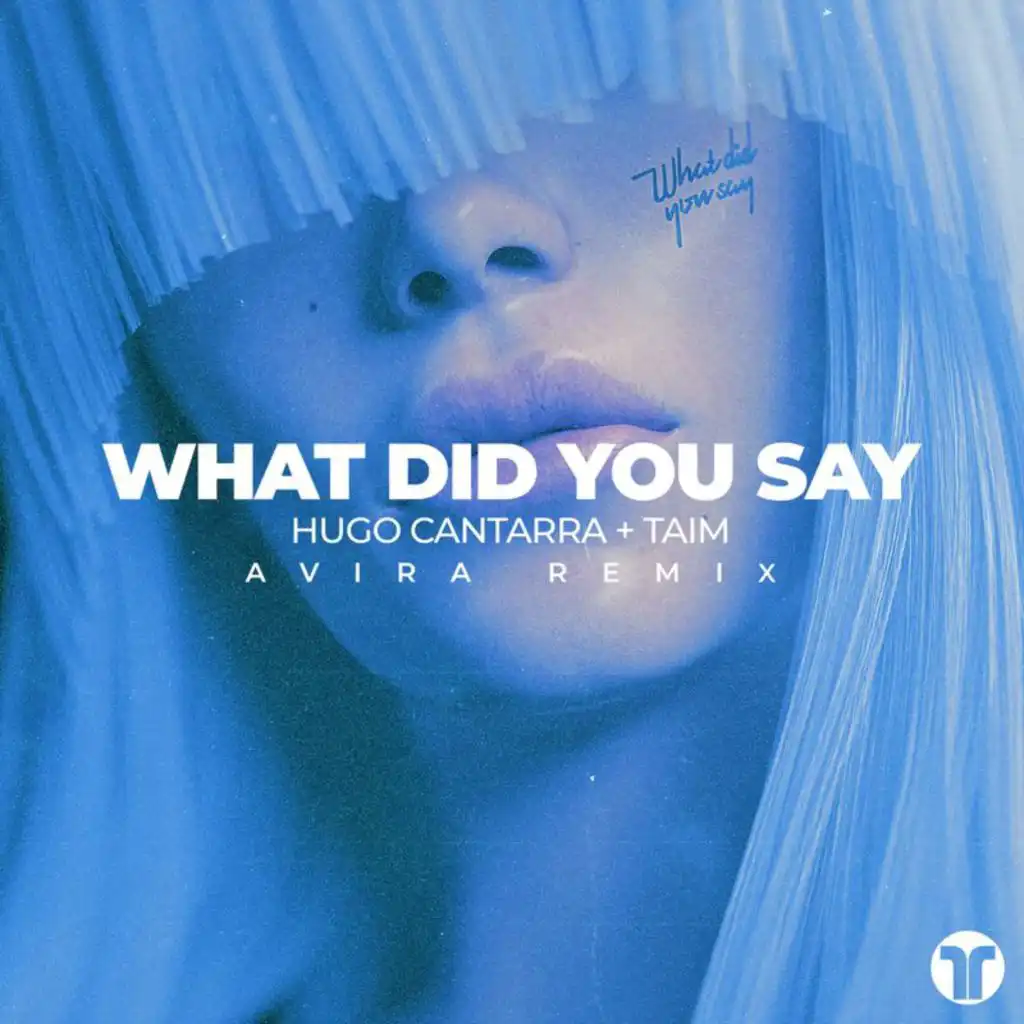 What Did You Say (AVIRA Remix)