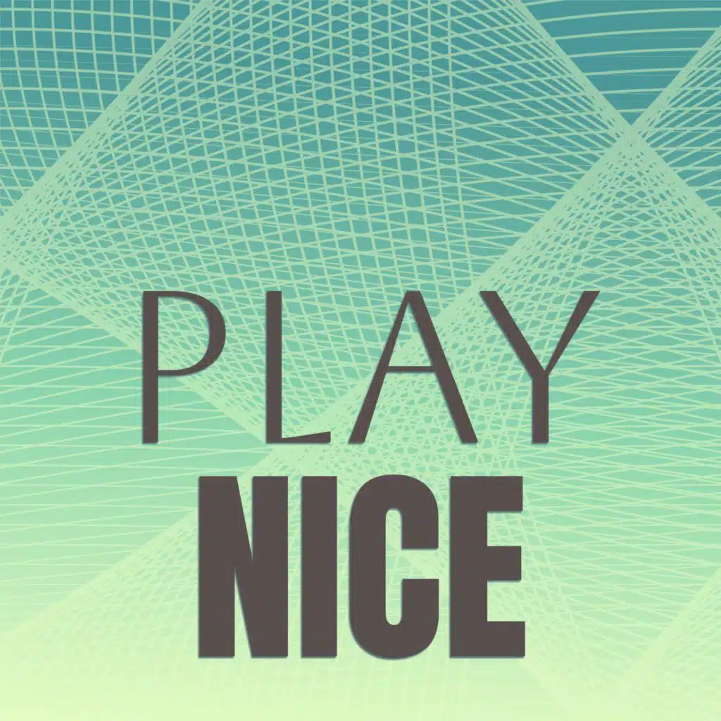 Play Nice
