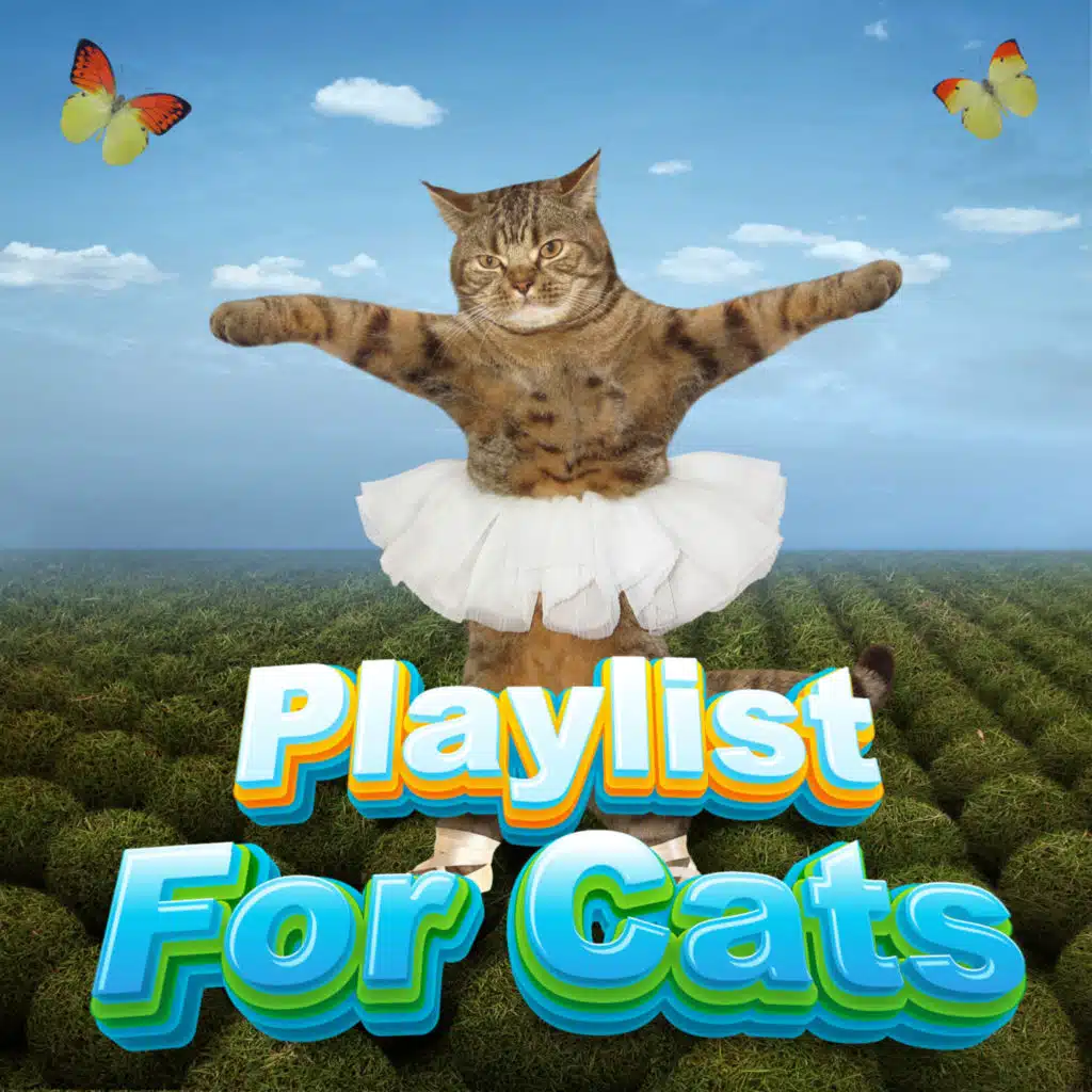 Relaxing Playlist For Cats & Kittens